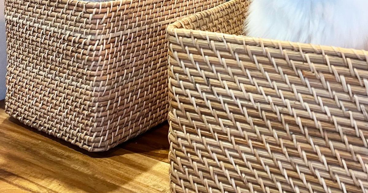 収納を整理するために『ラタンバスケット』を購入→タグを切って戻ってきたら、猫たちが…笑ってしまう瞬間に反響「正しい使い方」「ありがとニャン」