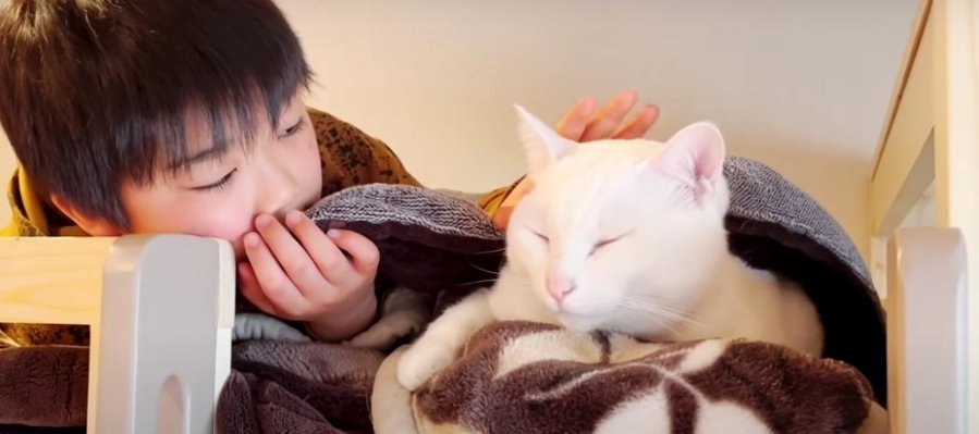 わくわく！２段ベッドに大歓喜な猫ちゃん♡