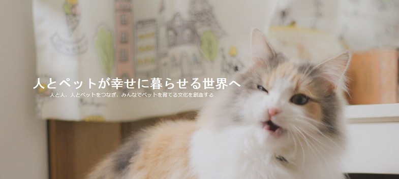 ペットシッターいらず？猫の飼い主同士をマッチングするサービス「Nyatching（ニャッチング）」が画期的！