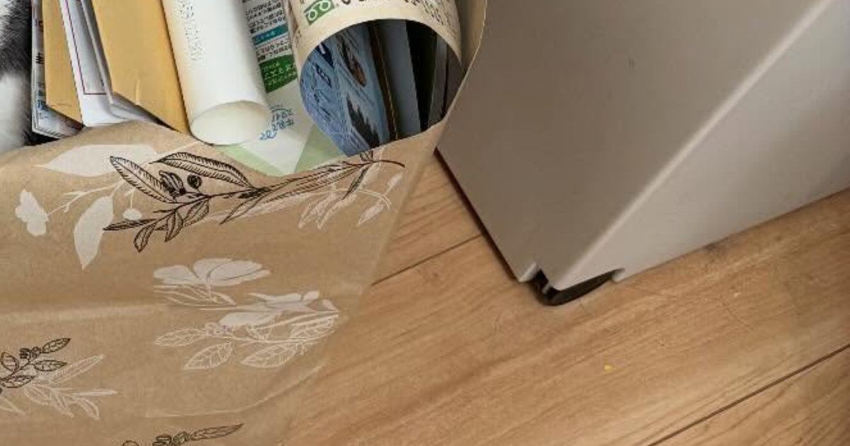 猫に『散らかさないでよー』と声をかけて…しばらく後に様子を見に行った結果→可愛すぎる光景に「いい感じになってるｗ」「いい子だねｗ」と反響