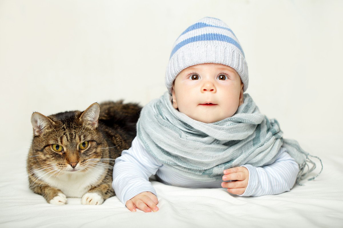 猫と赤ちゃんが安全に同居するための注意点3つ　一緒にいることのメリットもある！