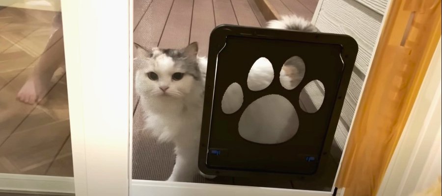 キャットドアを通れなかった猫ちゃんが猛特訓した結果...！？