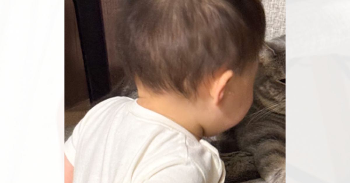 赤ちゃんに近距離で見つめられている猫→『表情』を見てみたら…爆笑必至の『まさかの光景』に7万いいね「本当にたまらん」「ガン詰めしてて草」