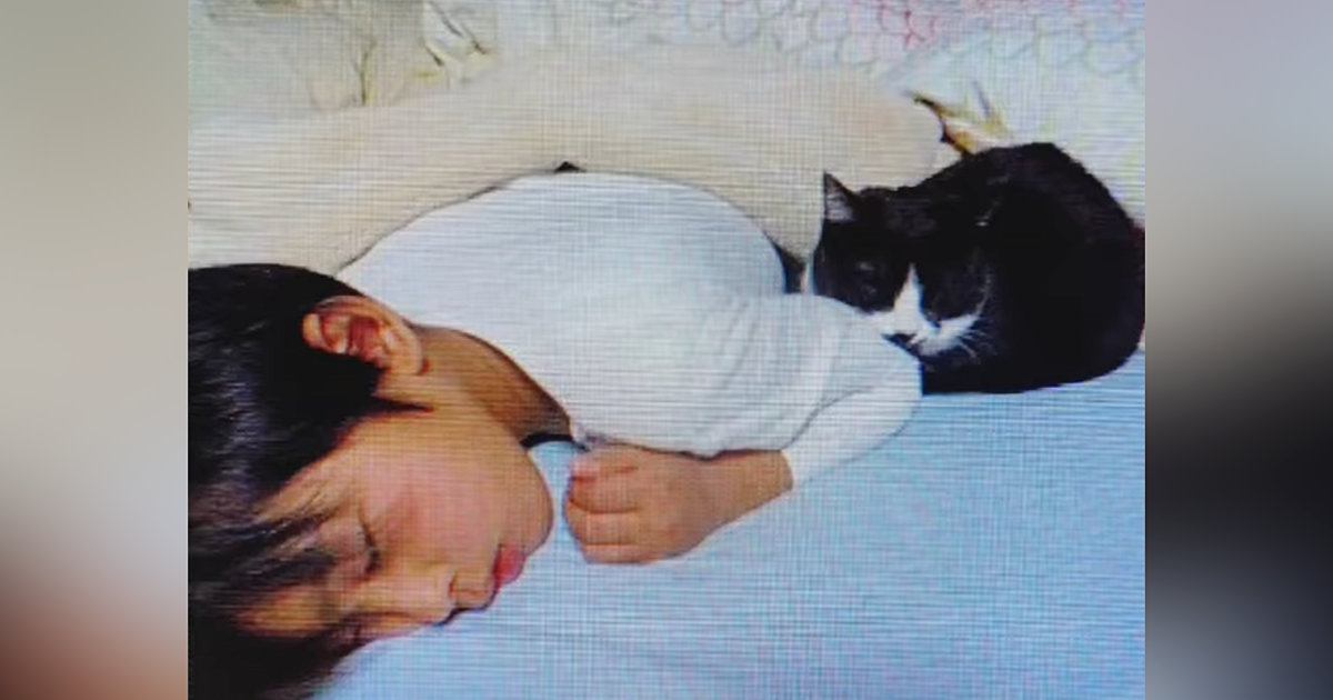 幼いころからずっと一緒の男の子と猫→出会いから20年…胸が熱くなる『成長記録』に「朝から号泣した」「家族の絆が素敵」と30万再生