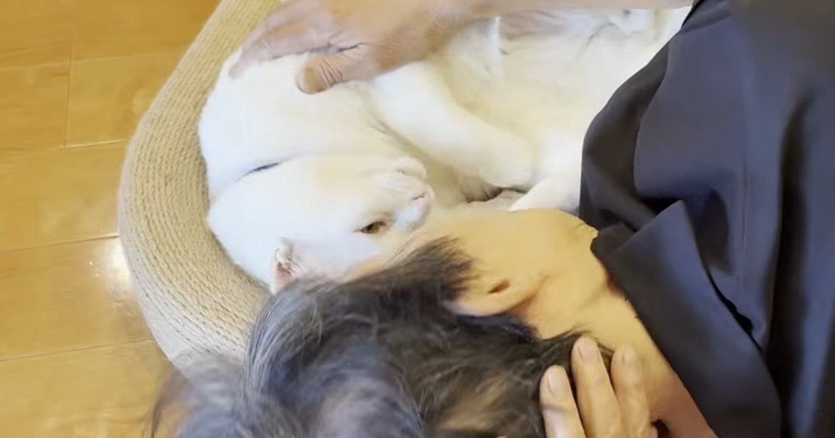 遊びに来た母→くつろぐ猫に優しく囁き始めると…思わずニヤけてしまう『可愛すぎる反応』に「母さんの愛がすごいｗ」「幸せだねｗ」の声