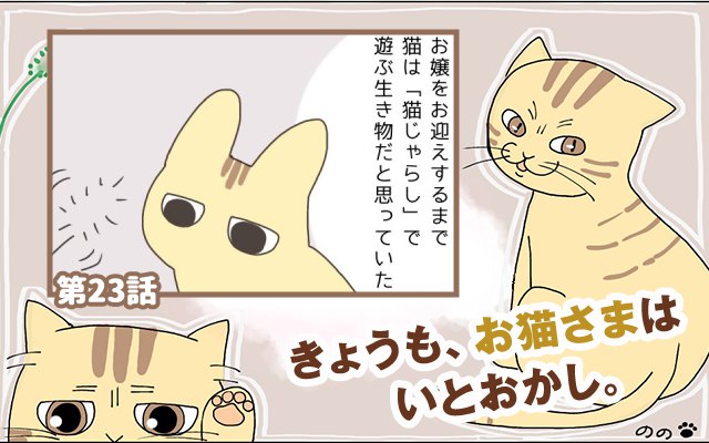 きょうも、お猫さまはいとをかし。【第23話】「思ってたんと違う」