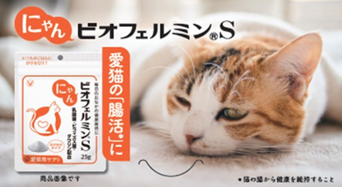 大正製薬のペット用サプリメント「にゃんビオフェルミンS」を東海地区最大級のペットイベント「わんにゃんドーム２０２６」に初出展