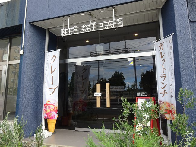 里親探し型猫カフェ「BLUE CAT CAFE」に行ってきました！