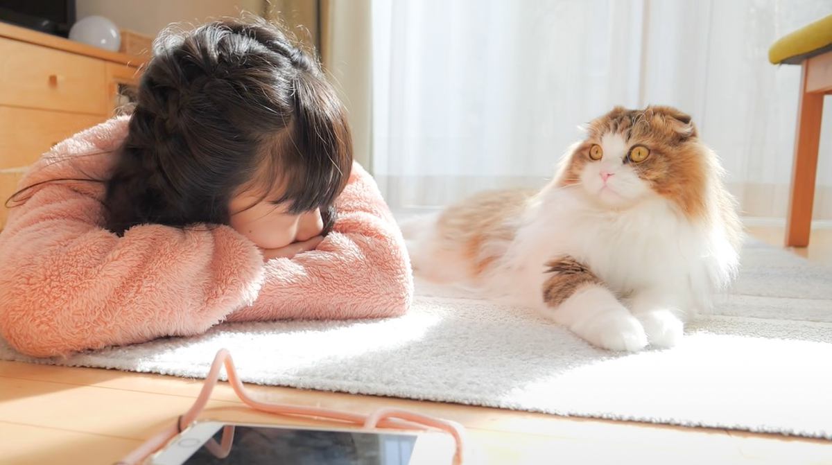 疲れ切って早退してきた娘に猫がとった行動…思わず涙してしまう『心温まる瞬間』が42万6000再生「泣いてしまった」「最高の治療薬」