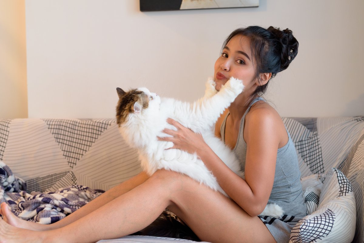 猫に嫌われてしまう『飼い主の行動』4選　信頼を失ってしまうかも？見直すべき接し方とは