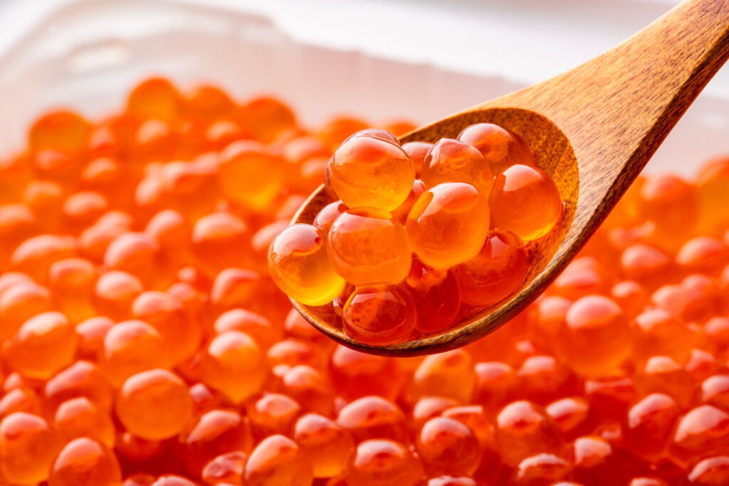 【獣医師監修】猫にイクラは絶対にNG！危険な理由と主な症状から誤食時の対処法まで徹底解説