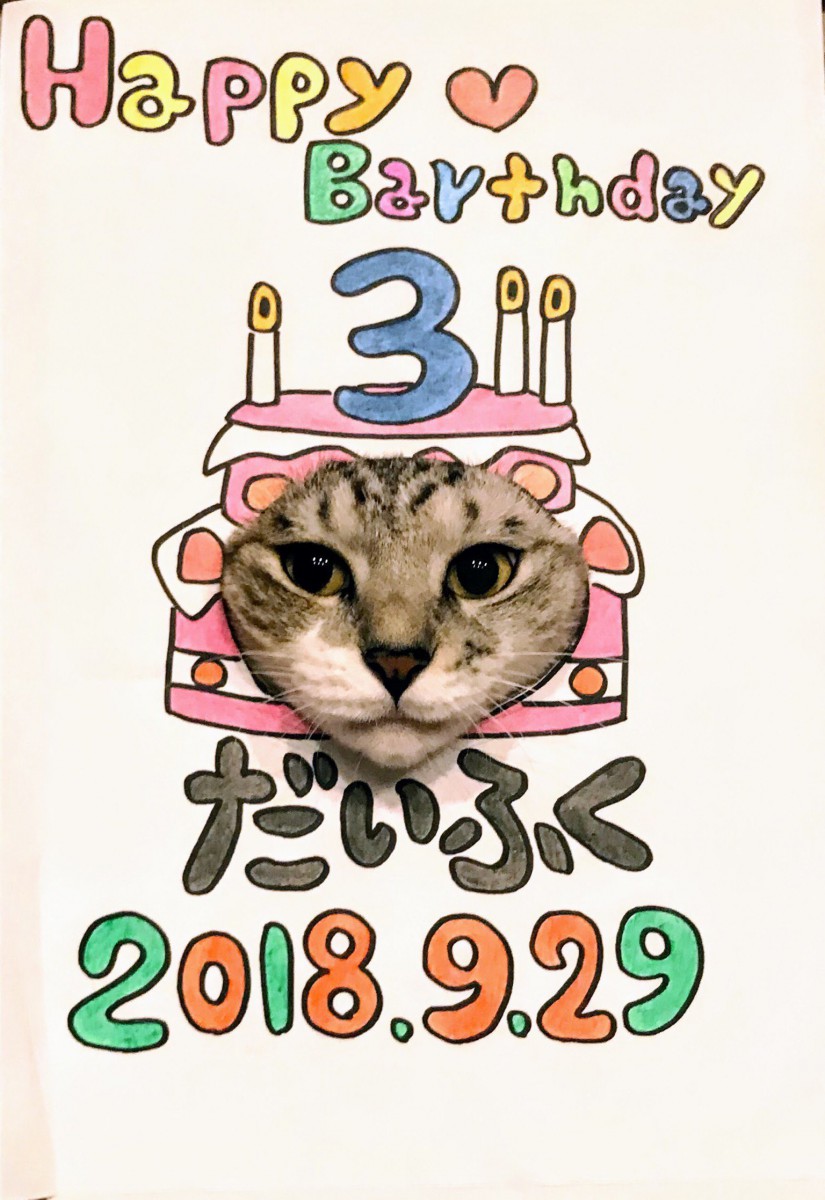 愛猫の誕生日にいかが？猫のバースデイ顔ハメを作ってみた！