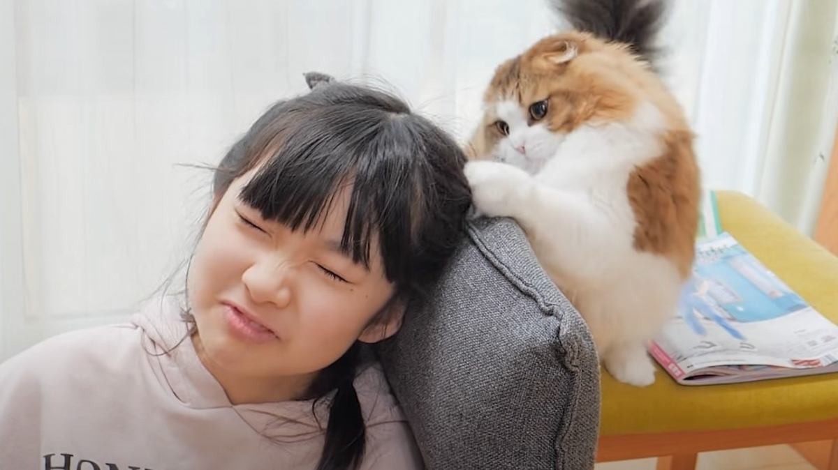 『ほっこり』猫が女の子の髪で遊び初めた結果…やり取りの様子が微笑ましすぎると12万再生「口元緩んだ」「シラを切ってるところがｗ」