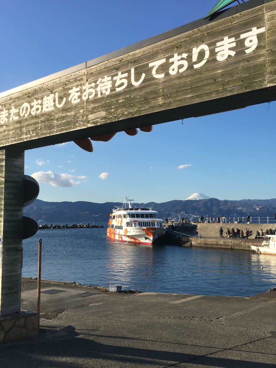 都内からのアクセスも◎！猫の楽園『初島』をリポート