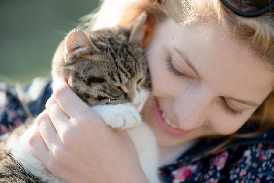 私が猫を飼うようになって変わった3つの事