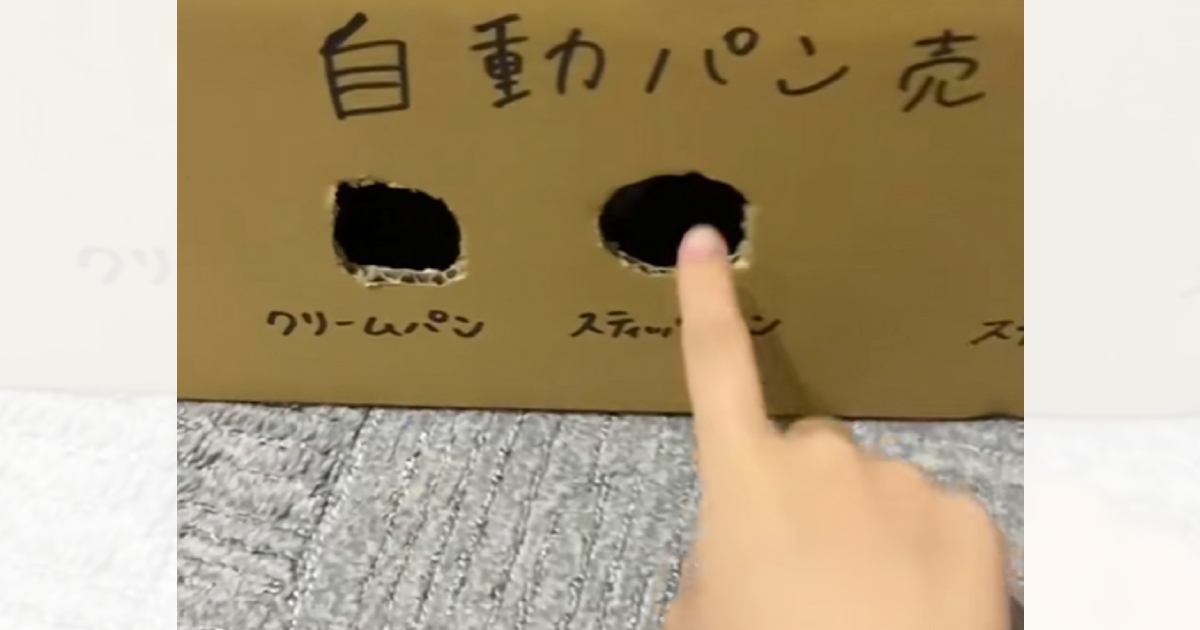 段ボールで自動パン売り機のおもちゃを作成→『パンください』と声をかけると、猫が…240万再生突破の光景に「欲しいｗ」「ナイスアイデア」と絶賛