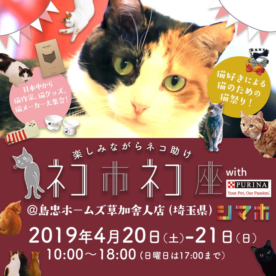 猫のチャリティーイベント「ネコ市ネコ座withピュリナ@島忠ホームズ草加舎人」に出かけよう！