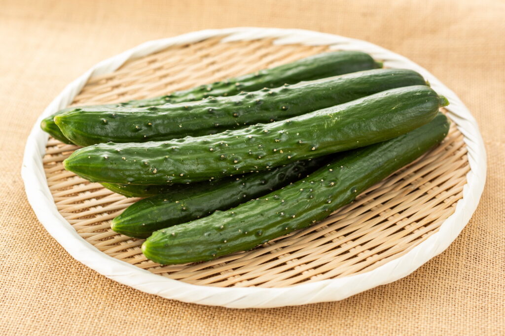 【獣医師監修】猫はきゅうりを食べても大丈夫？栄養素とメリット、与える際の注意点まで徹底解説