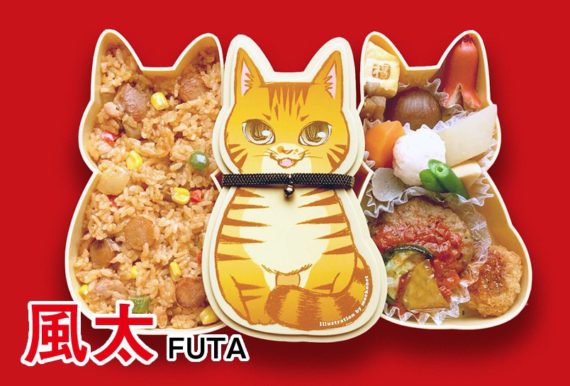 話題の『福ねこ弁当』はどこで買える？かわいくておいしい話題のお店