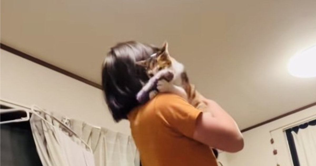 娘が猫に『お気に入りの手袋』を振って見せると…見事すぎる『コンビ芸』が56万再生「何度も見ちゃったｗ」「マジですごいｗ」と絶賛の声