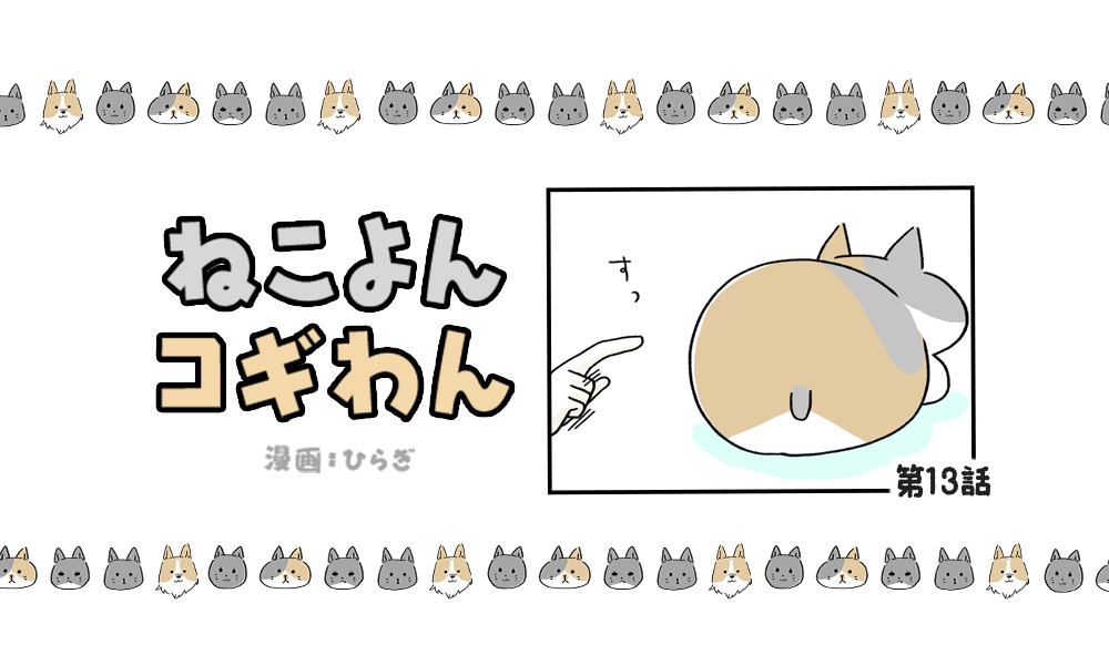 ねこよんコギわん【第13話】「ぞわぞわ。」