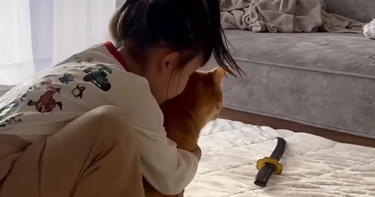 女の子に『ぎゅっ』と抱きしめられた猫→次の瞬間…幸せいっぱいな光景に癒される人続出「疲れが吹き飛ぶ尊さ」「とっても素敵」と５万再生