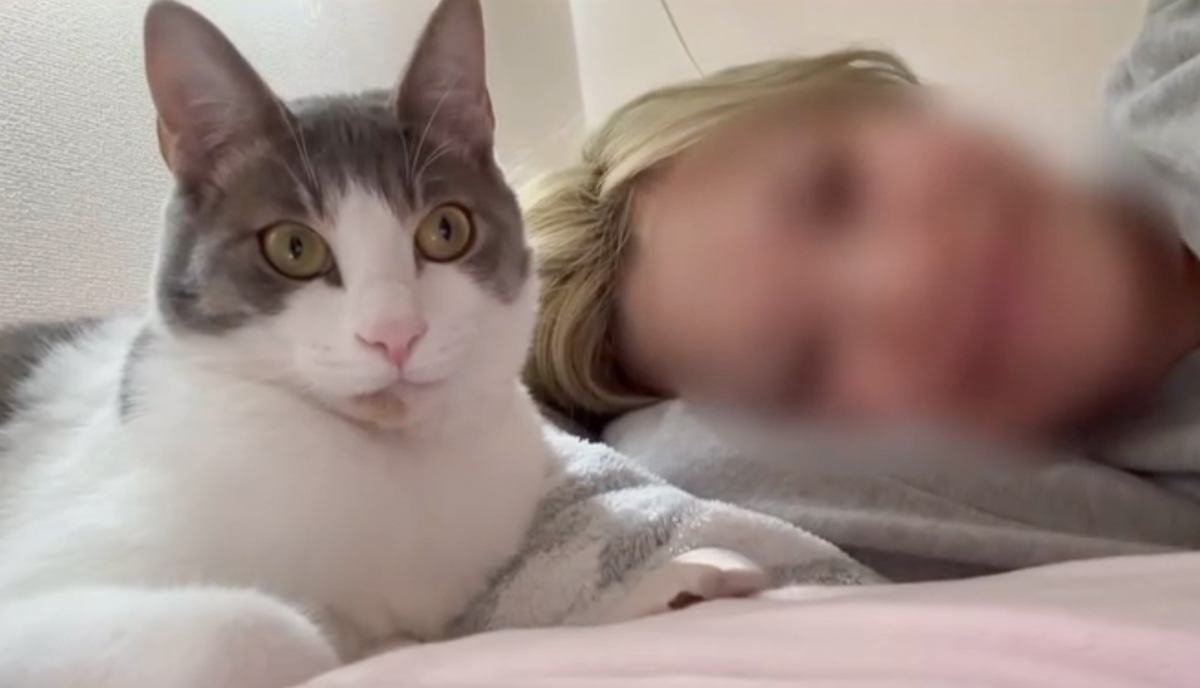 愛猫とまったりしていただけなのに…思わず『なんで？』と声がでた『まさかの瞬間』が52万再生「本当になんでｗｗ」「バツが悪そうに座ったｗ」