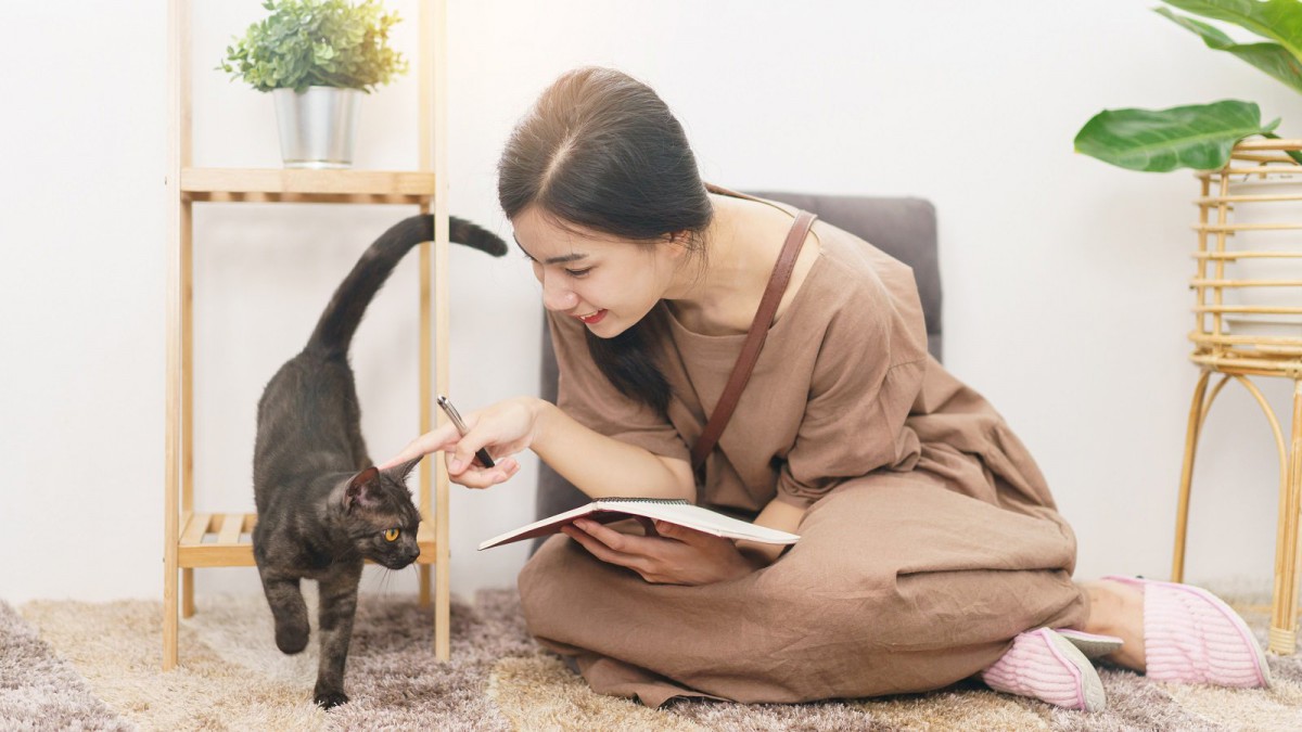 猫に『あだ名』は良くないの？付ける場合の4つの注意点