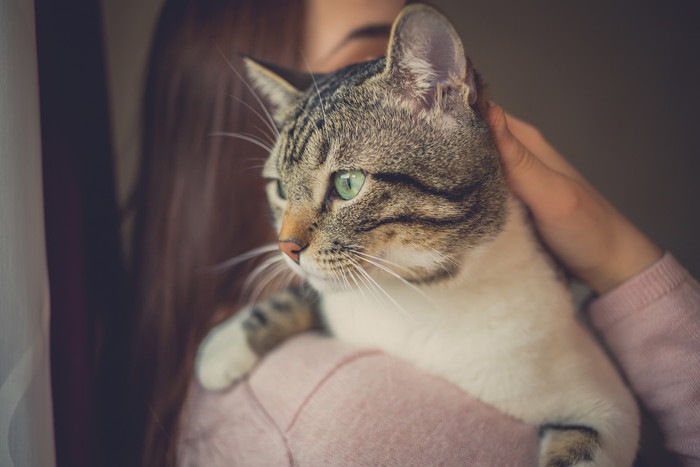 ご近所で起きた”多頭飼育の崩壊”！初めての里親活動で私が得た「人と猫の繋がり」