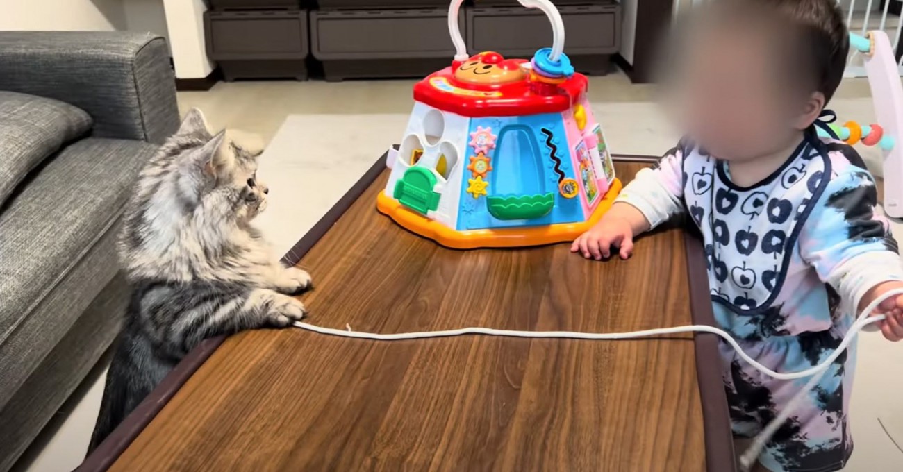 赤ちゃんが猫の前で『白い紐を持ってる』と思ったら…微笑ましすぎる瞬間に癒される人が続出「仲睦まじい感じでホッコリ」「かわいい」