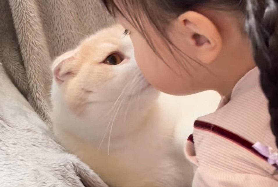 女の子が猫に『行ってきます』の挨拶をしたら…まさかの行動が尊すぎると87万6000再生を突破「やるね～」「すっかり仲良し」の声