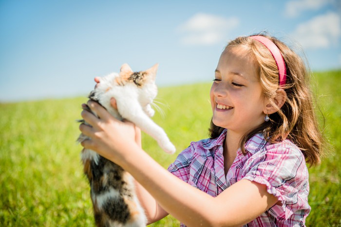 小さい子供がいると猫の里親になれない？その理由と解決法とは