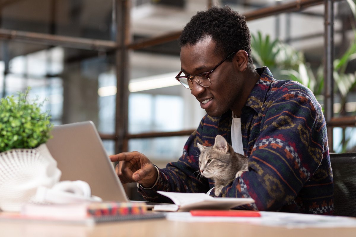 勤務内容は「猫のお世話」　英国の企業が風変わりな求人広告を出し話題に