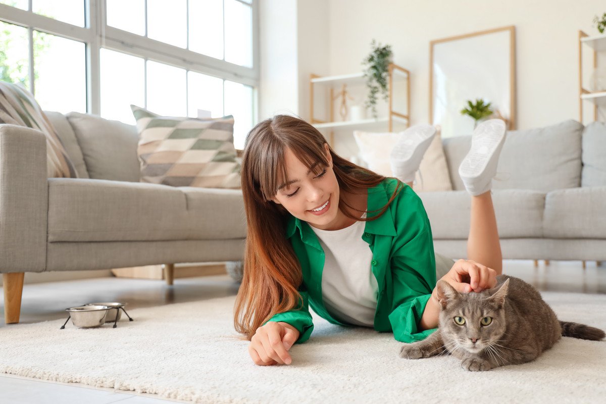 多頭飼育が向いていない『おひとりさま猫』の特徴6選　1匹飼いのメリットと注意点もご紹介