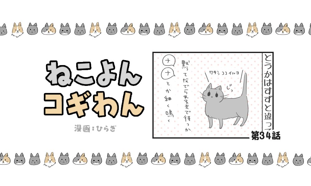 ねこよんコギわん【第34話】「とうかの甘噛み」