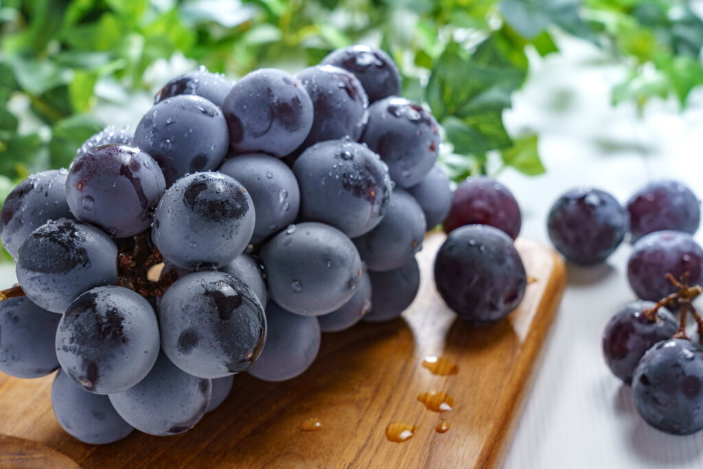 【獣医師監修】猫にぶどうは絶対NG！危険な理由や中毒症状、食べた時の対処法を解説