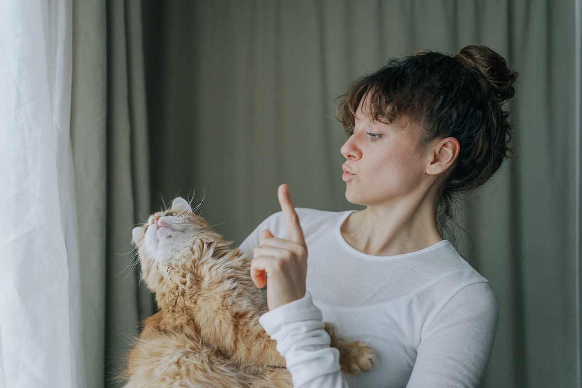 猫の『しつけ』を成功させるためのポイント4つ　心がけるべきことからNG対応まで解説