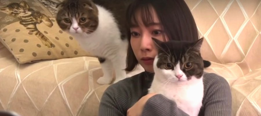 ホラー映画鑑賞！飼い主さんのそばにいてくれる猫さんたち