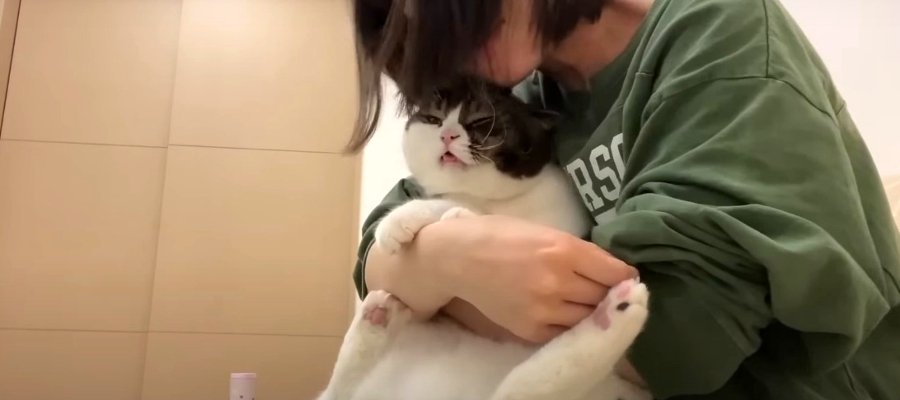 スリスリされて不満げな甘えん坊猫ちゃんの叫び