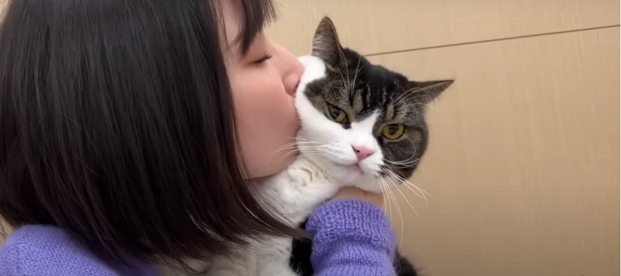 真夜中のおひとり様運動会！猫吸いされて撃沈する猫くん