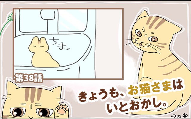 きょうも、お猫さまはいとをかし。【第38話】「猫とお風呂」