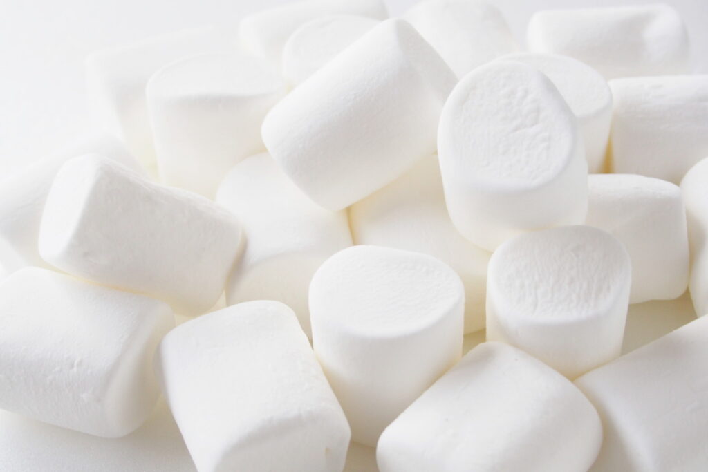 【獣医師監修】猫がマシュマロを食べるのはNG！与えてはいけない理由や誤食時の対処法を解説