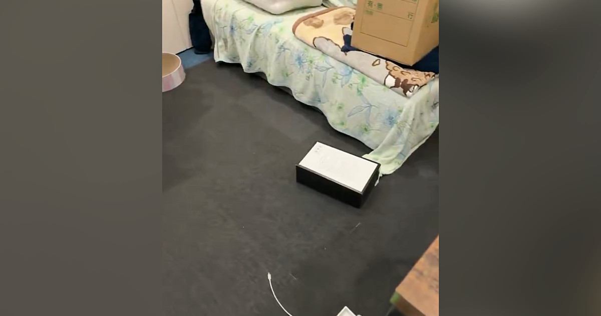 『猫がいない』と思ったら、部屋に置いてある物が突然動き出して…笑ってしまう光景に4万いいね「スニャーク」「なかなかの激怖案件」
