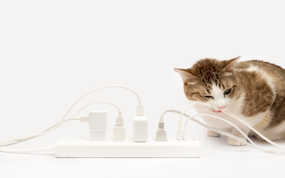 なぜ猫は「電気コード」を噛みたがるのか？考えられる原因3つと、阻止するための方法