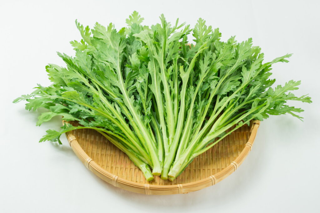 【獣医師監修】猫に春菊を与えるのはNG！結石のリスクや食べてしまった時の対処法を解説