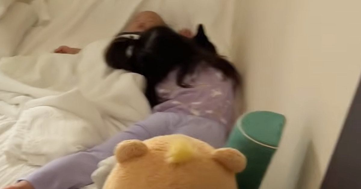 お布団を見ると『子供と猫』が集まっていて…心温まる『尊い光景』に「愛おしいしか言葉が出ない」「可愛い生物しかおらん」と癒される人が続出