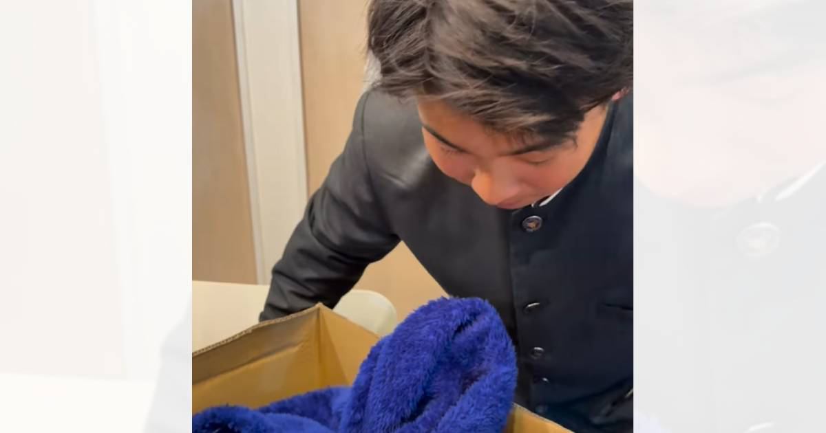 子どもに内緒で子猫をお迎えした結果…突然のサプライズで見せた『家族の反応』が最高すぎると371万再生「素敵な家族」「ほっこりした」