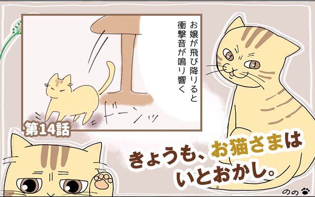 きょうも、お猫さまはいとをかし。【第14話】「思ってたのと違う」