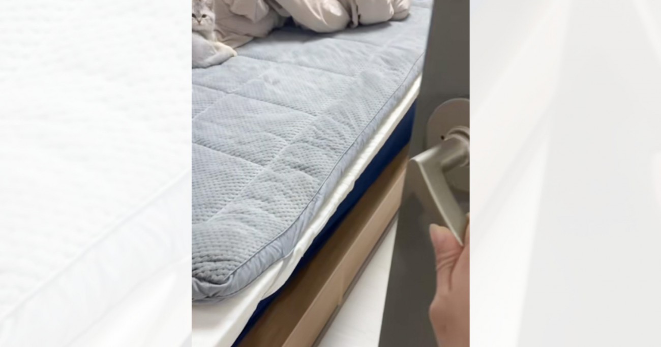 子猫がいる部屋のドアを開けると…可愛すぎる『寝起きの様子』が42万再生「すごい癒された」「発狂してしまった」と悶絶する人が続出