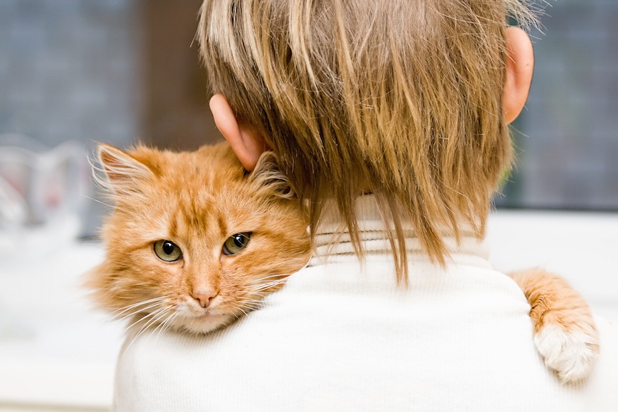 高齢になった愛猫にしてあげられる５つの事